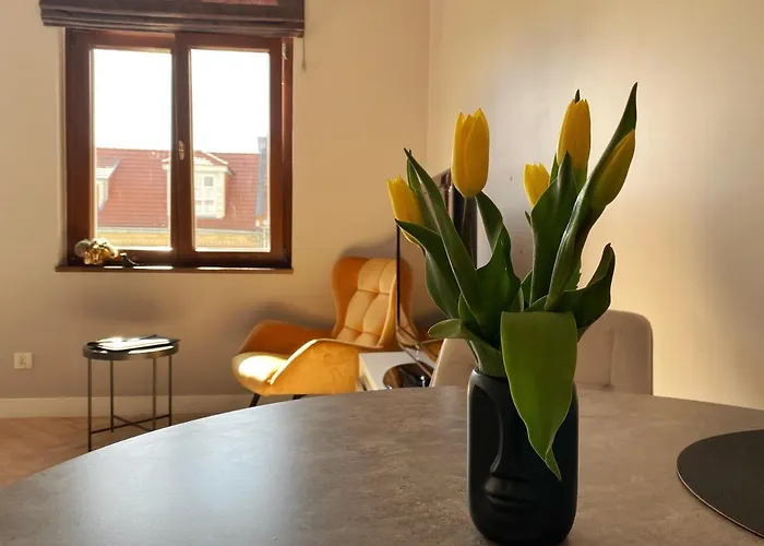 Apartament_poznan Ch10